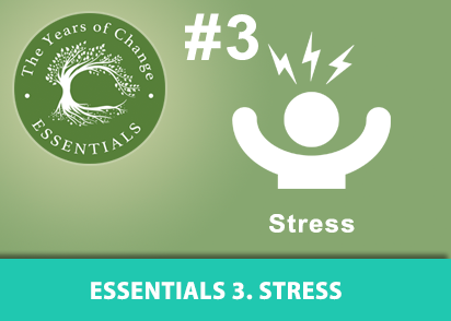 Years of Change ESSENTIALS #3 Stress